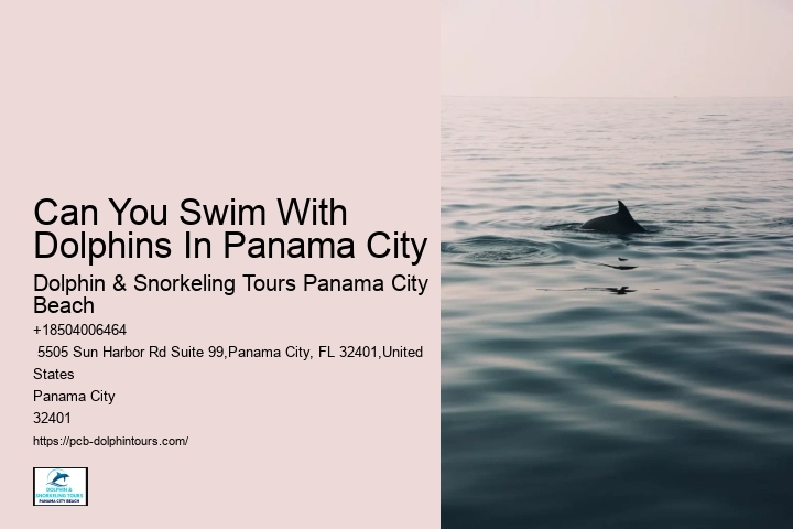 Are Dolphins And Sharks Really Sworn Enemies