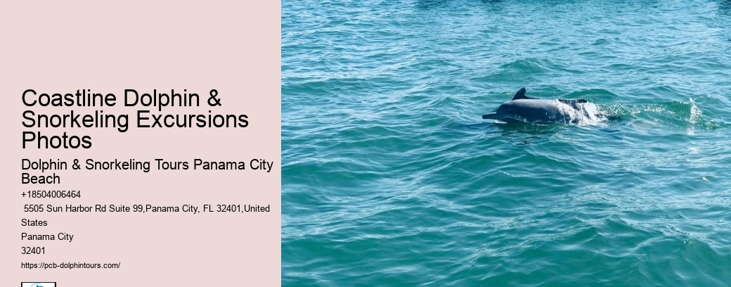 Frequently Asked Questions About Shell Island In Panama City Beach