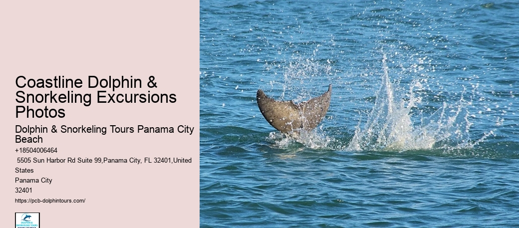 Snorkeling Gear Rental