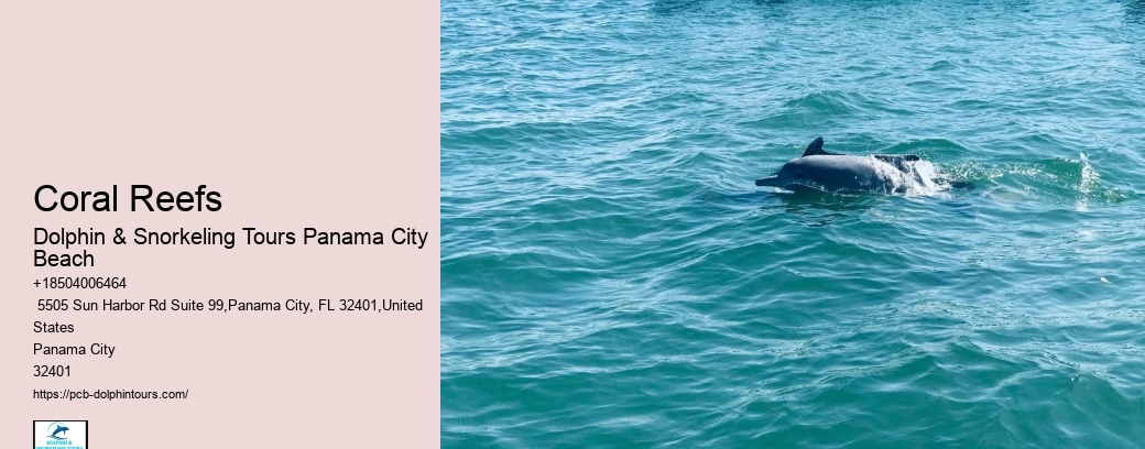 Coastal Sightseeing
