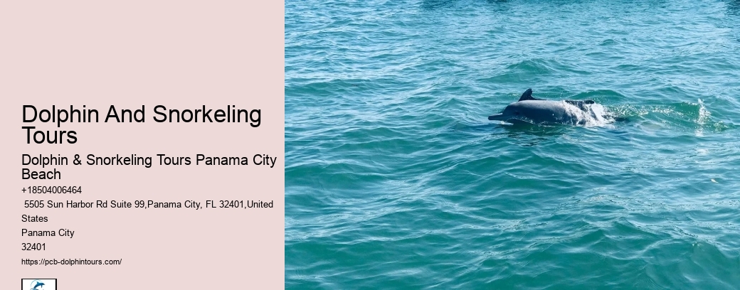 Marine Life Encounters