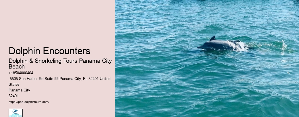 City Beach Boat