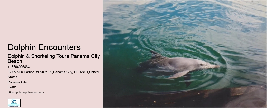 Scenic Coastline Tours