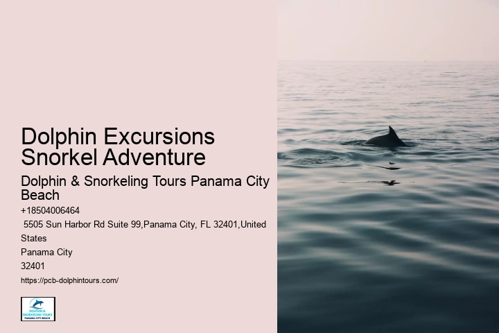 3 Hour Shell Island Dolphin And Snorkeling Tour