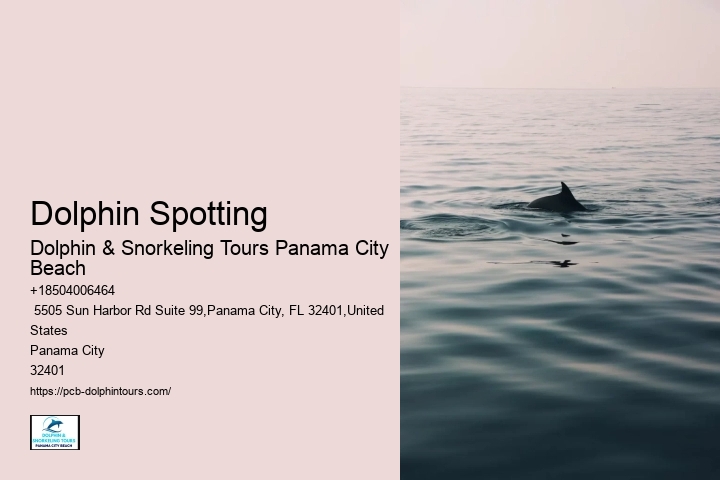 Panama City Boat