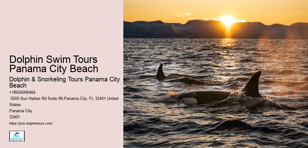 Explore Vibrant Coral Reefs