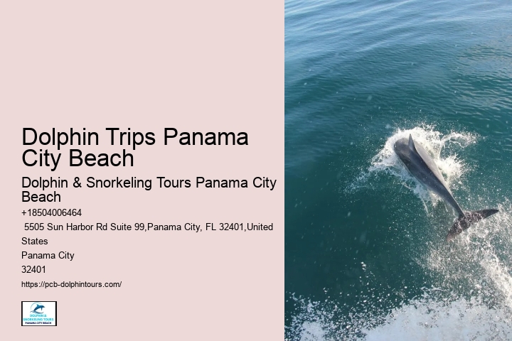 Dolphin Research Center