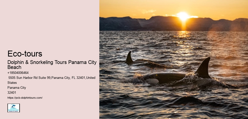 Adventurous Activities In Panama City Beach