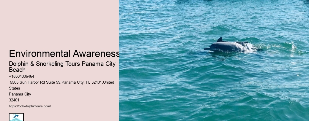 Dolphin Sightseeing