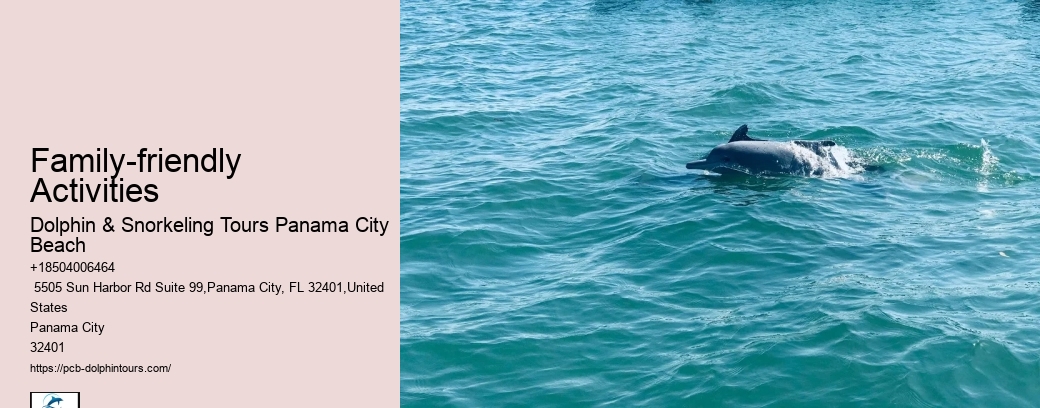 What Time Of Day Are Dolphins Most Active