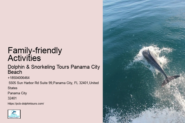 How Much Does It Cost To Swim With Dolphins In Florida