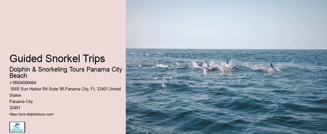Gulf Coast Experiences