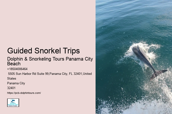 15 Incredible Places To Snorkel In Florida