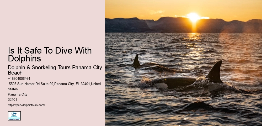 Gear, Tours & Shell Island