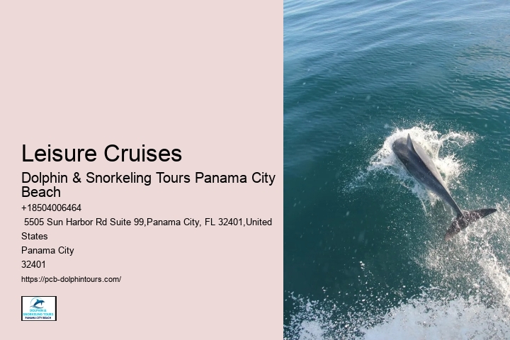 Swim Alongside Marine Life