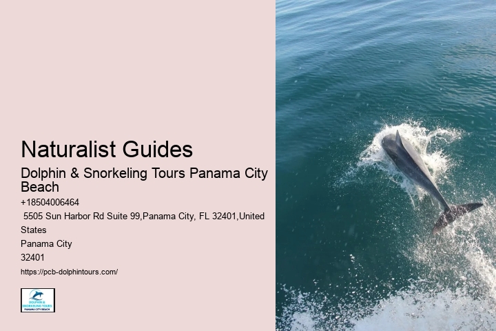 Dolphin Swim Boat Tours