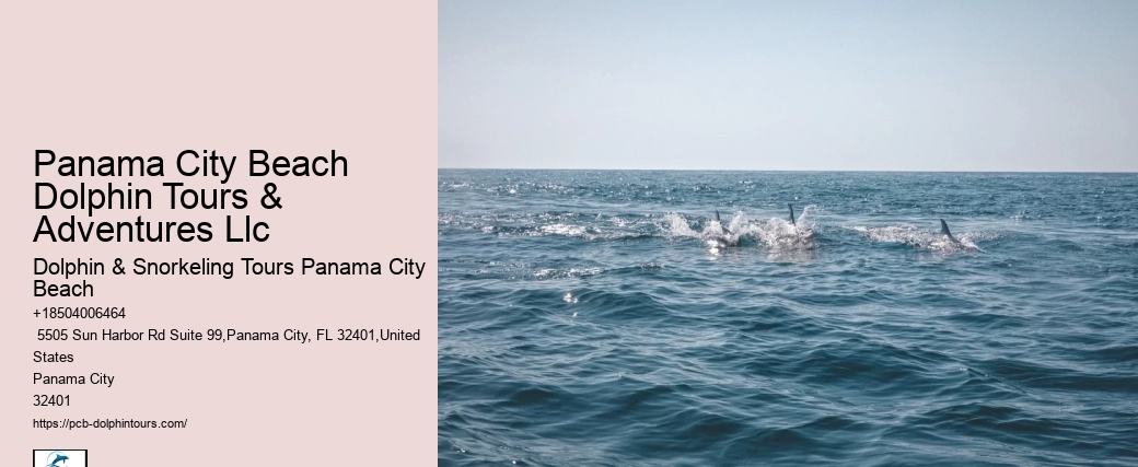 Dolphin & Snorkeling Tours Panama City Beach