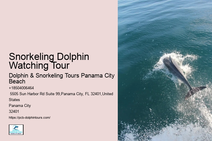 Dolphins