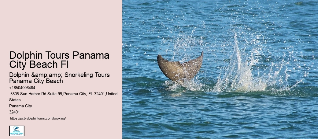 Dolphin Swims: A Code Of Conduct