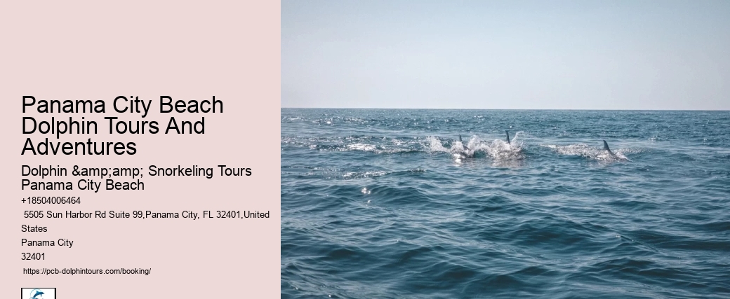 How Much Does It Cost To Swim With The Dolphins In Panama City Beach