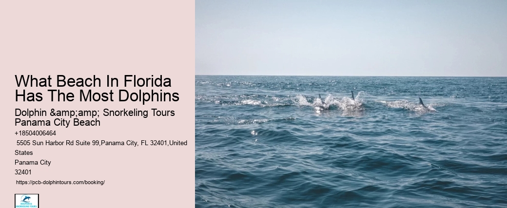 Dolphins