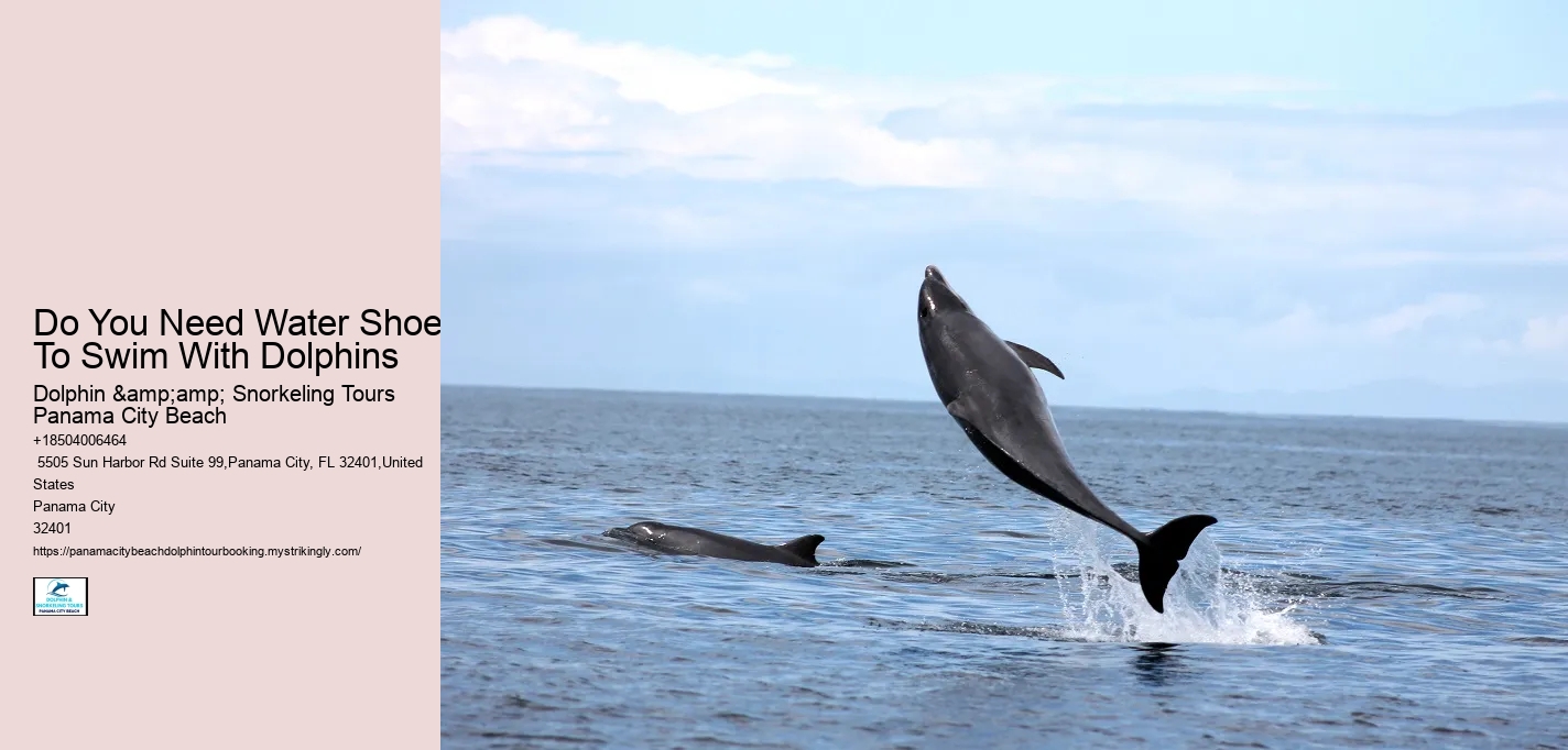 Do You Need Water Shoes To Swim With Dolphins