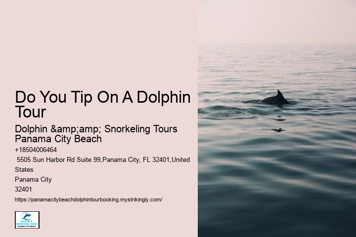 How Do You Spot Dolphins On The Beach