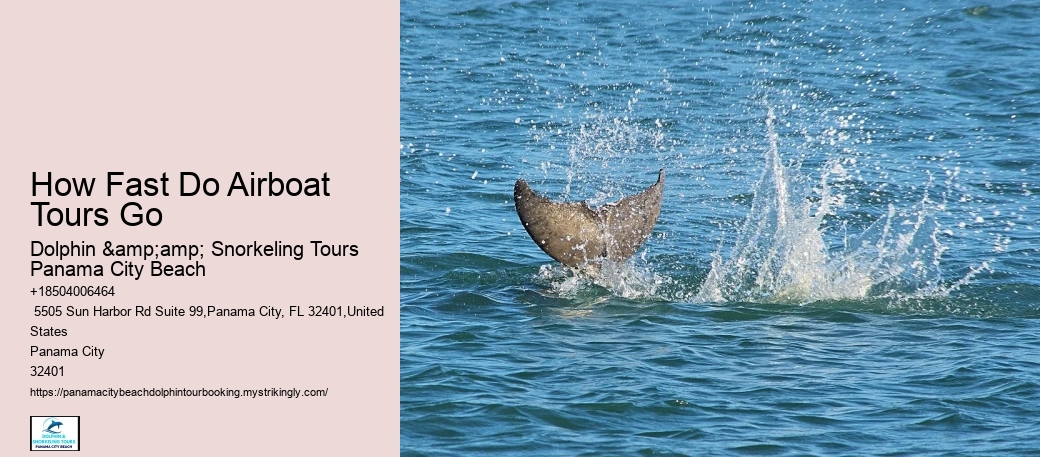 Boat Tour
