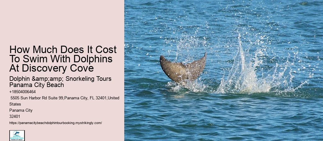 Want A Strong Dolphin Kick (We Know The Trick!)