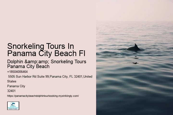 There Have Been Occasions When Dolphins Have Reportedly Saved People From Drowning And Taken Them Back To Shore