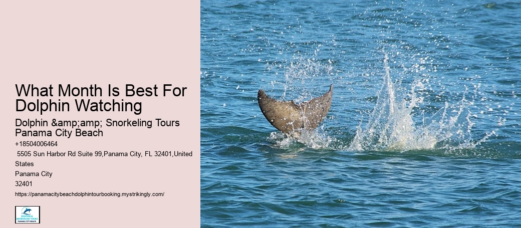 Approaching A Stranded Dolphin Can Be Stressful For The Animal And Dangerous For Humans And Animals Alike