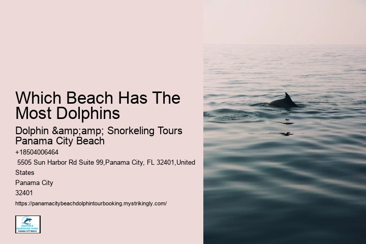 Can You Swim With Dolphins At Panama Beach