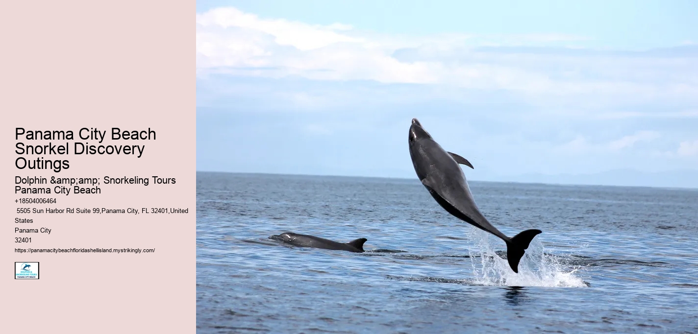Panama City Beach Snorkel Discovery Outings