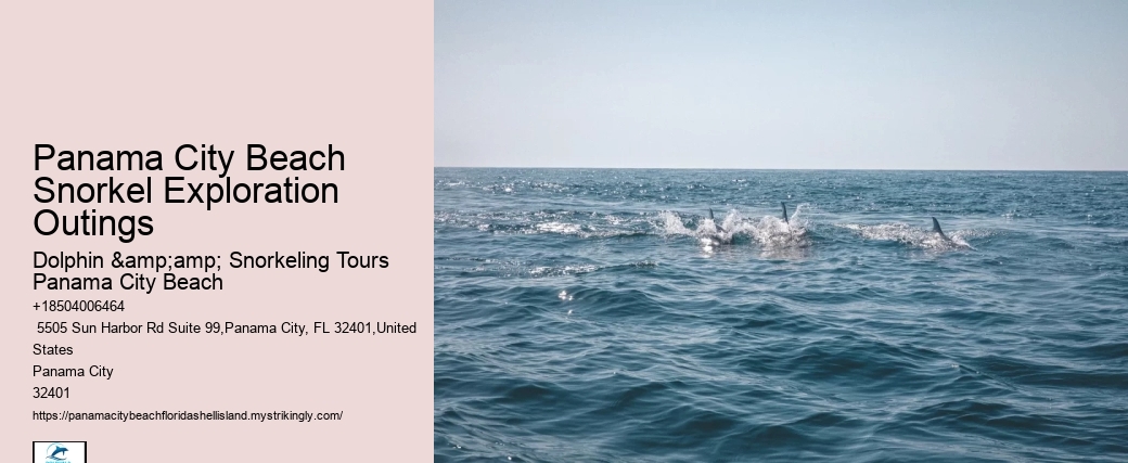 Panama City Beach Snorkel Exploration Outings