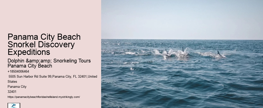 Panama City Beach Snorkeling Tours Maui