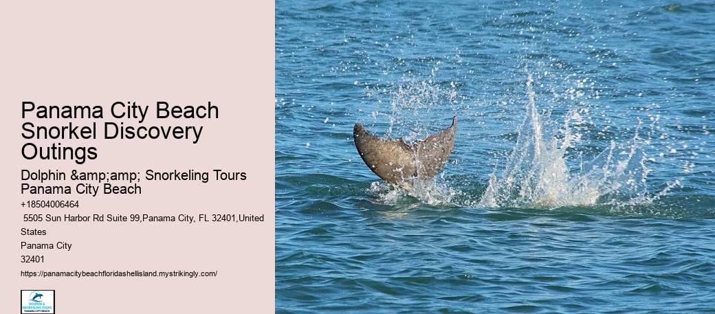 Panama City Beach Is One Of The Top Destinations For Snorkeling In The Country