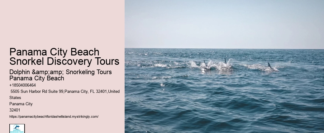 Snorkel Sightseeing Cruises In Pcb