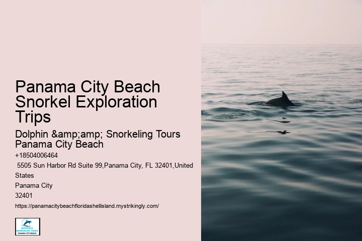 Snorkeling Tours From Panama City Beach