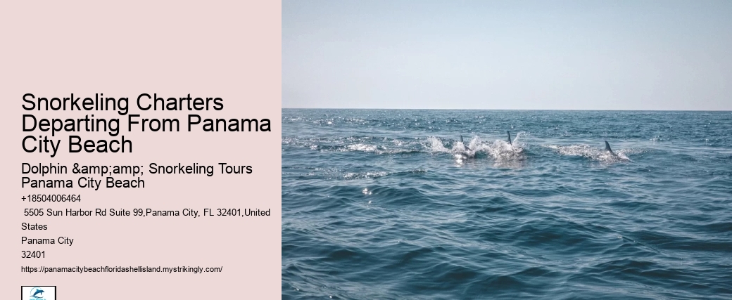 Snorkeling Charters Departing From Panama City Beach