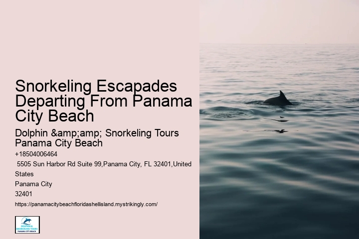 Panama City Beach Snorkel Discovery Voyages