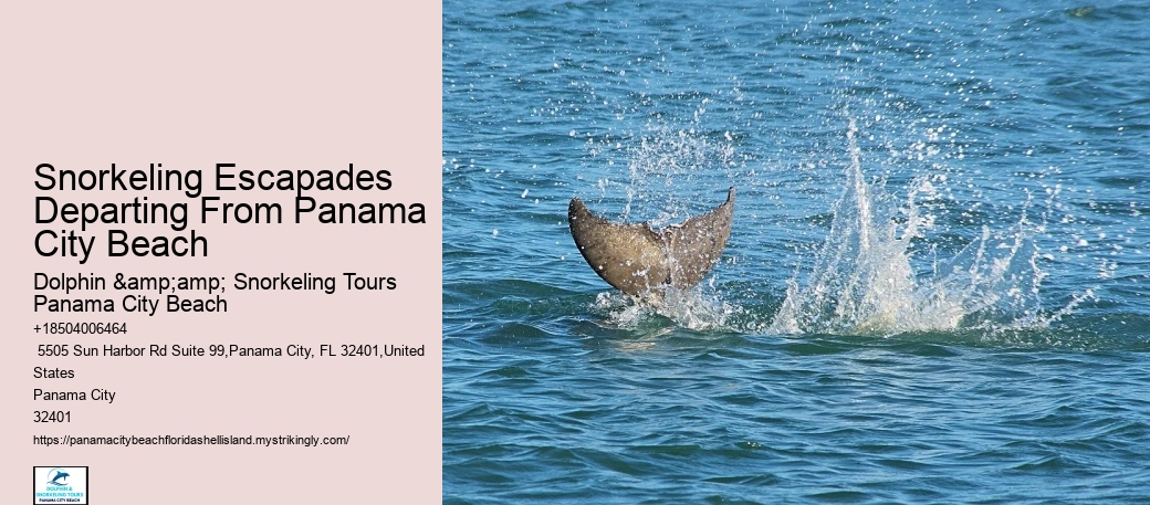 Snorkeling Escapades At Panama City Beach