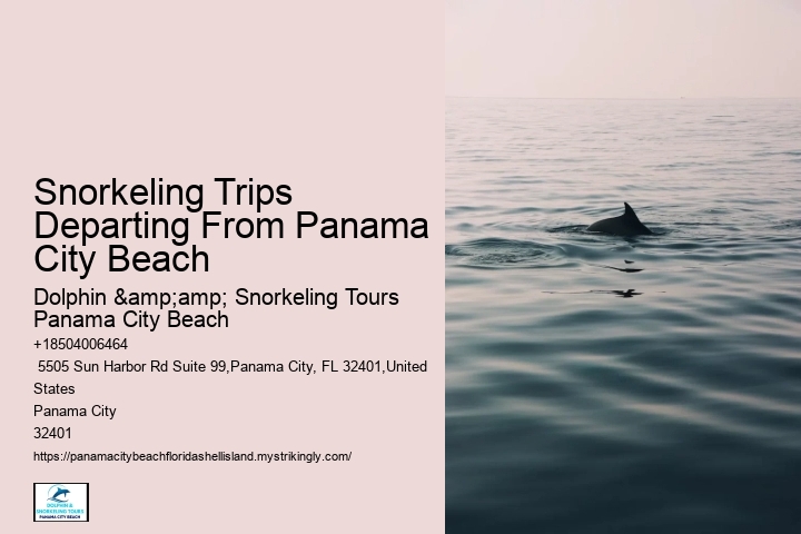 Panama City Beach Snorkel Sightseeing