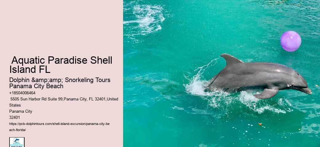  What Is Special About Shell Island