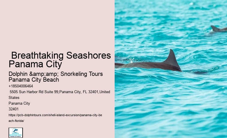  Where Does The Shell Island Shuttle Drop You Off?