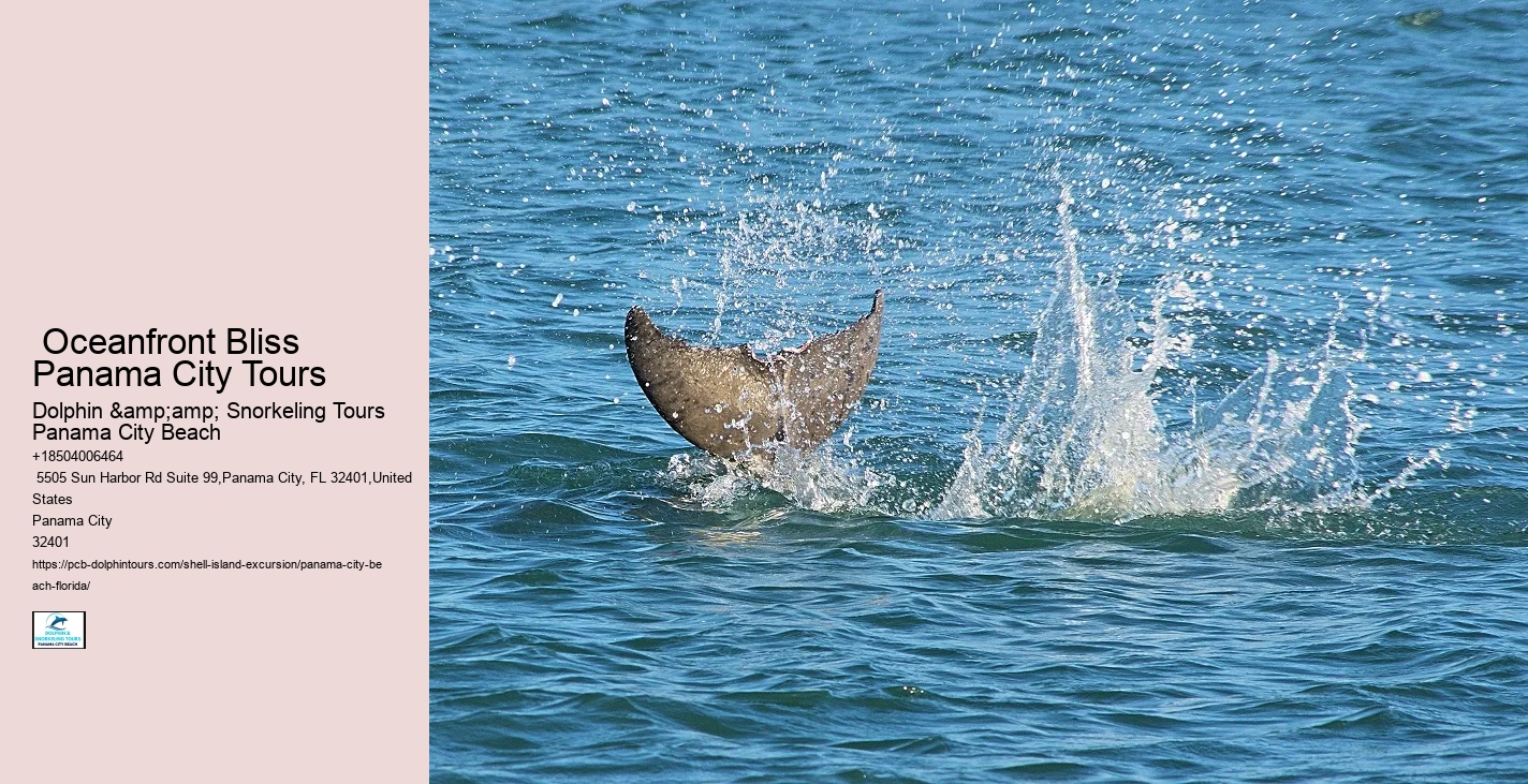  Panama City Inlet Discovery Excursions