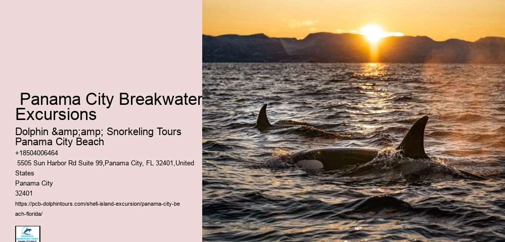  Panama City Breakwater Excursions