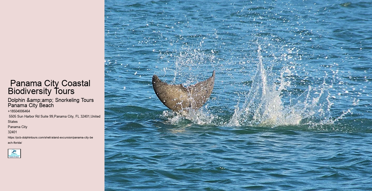  Panama City Secluded Tours