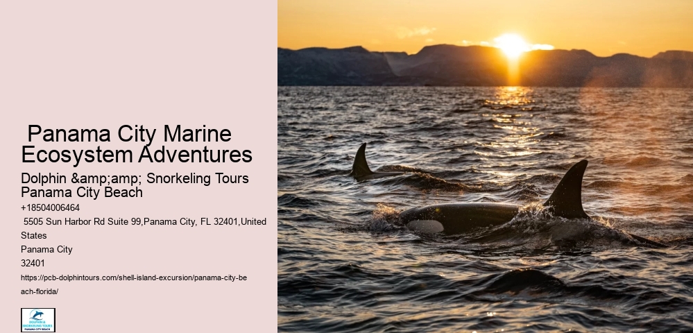  Panama City Marine Ecosystem Adventures