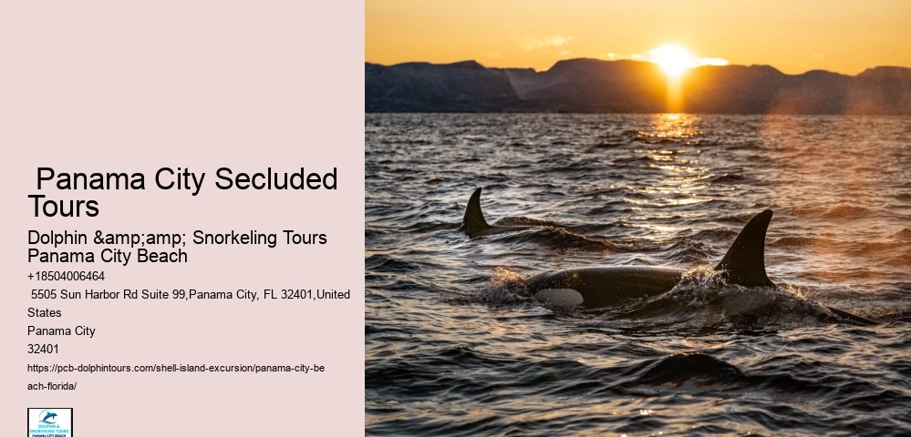  Panama City Secluded Tours