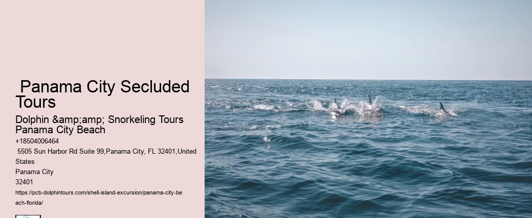  Shell Island Shuttle